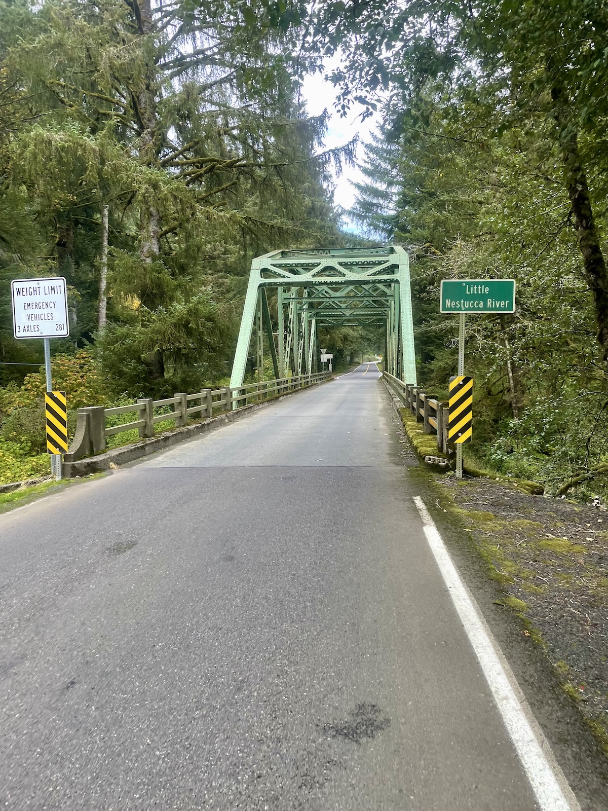 An aged copper bridge emerges from the forest line as the author rides along the Nestucca river.
