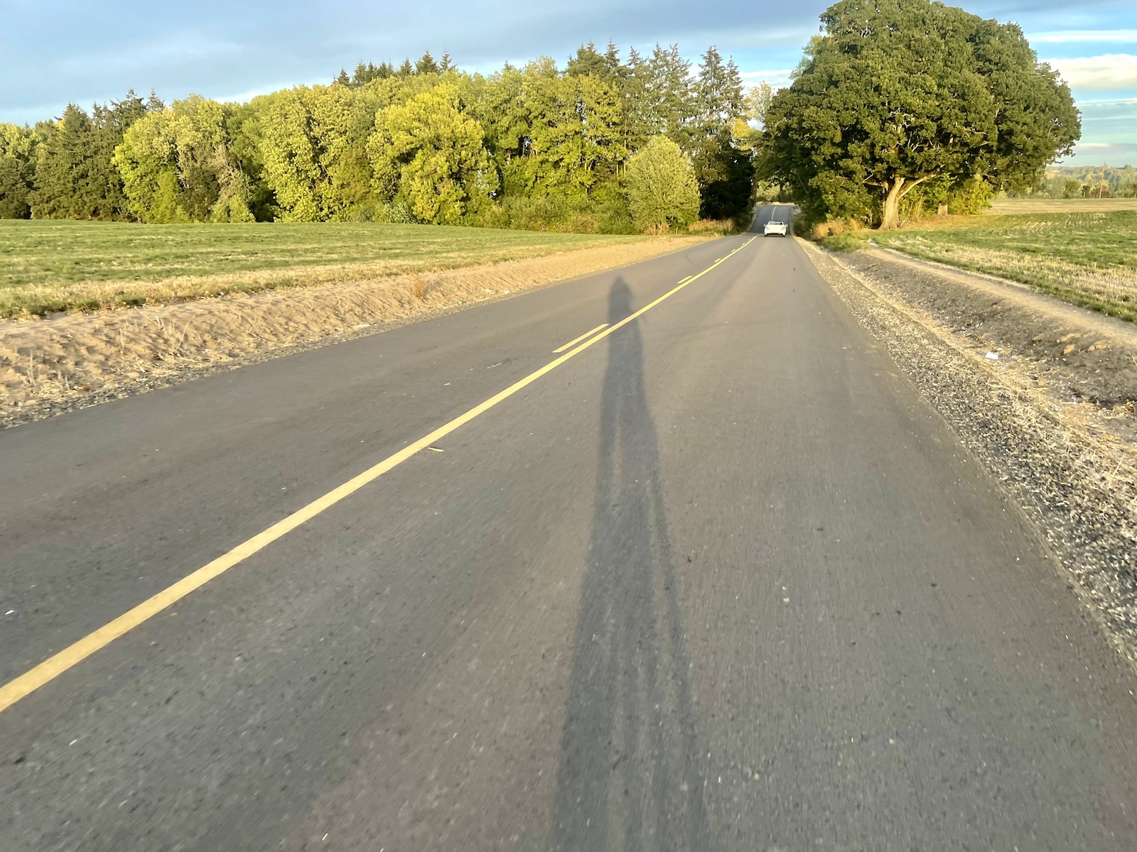 As dusk rolls in, the author’s shadow is cast across the road with farmland cast in a warm light.