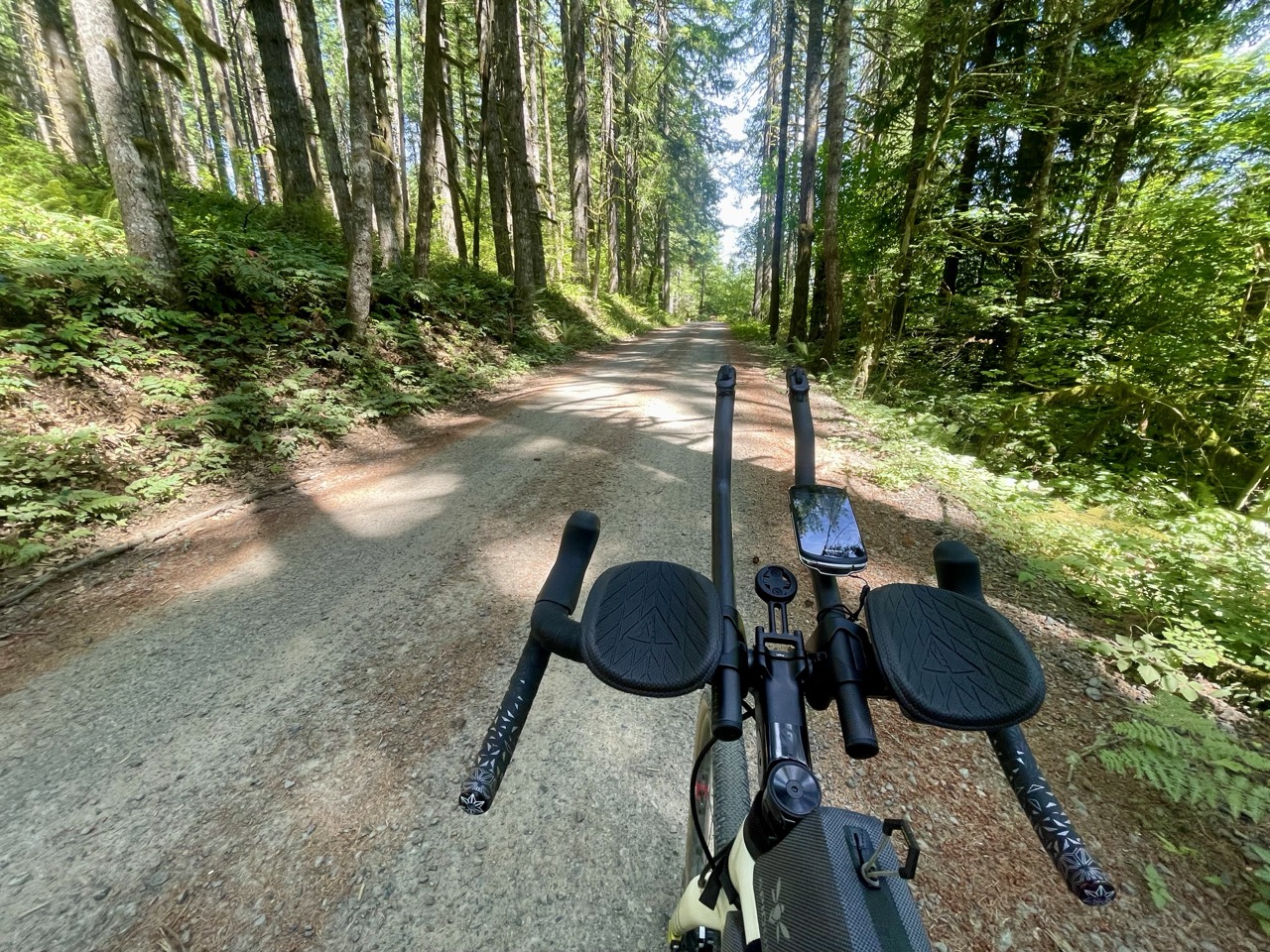 The front of a gravel bike is in the foreground, looking ahead of a gravel path in the woods.
